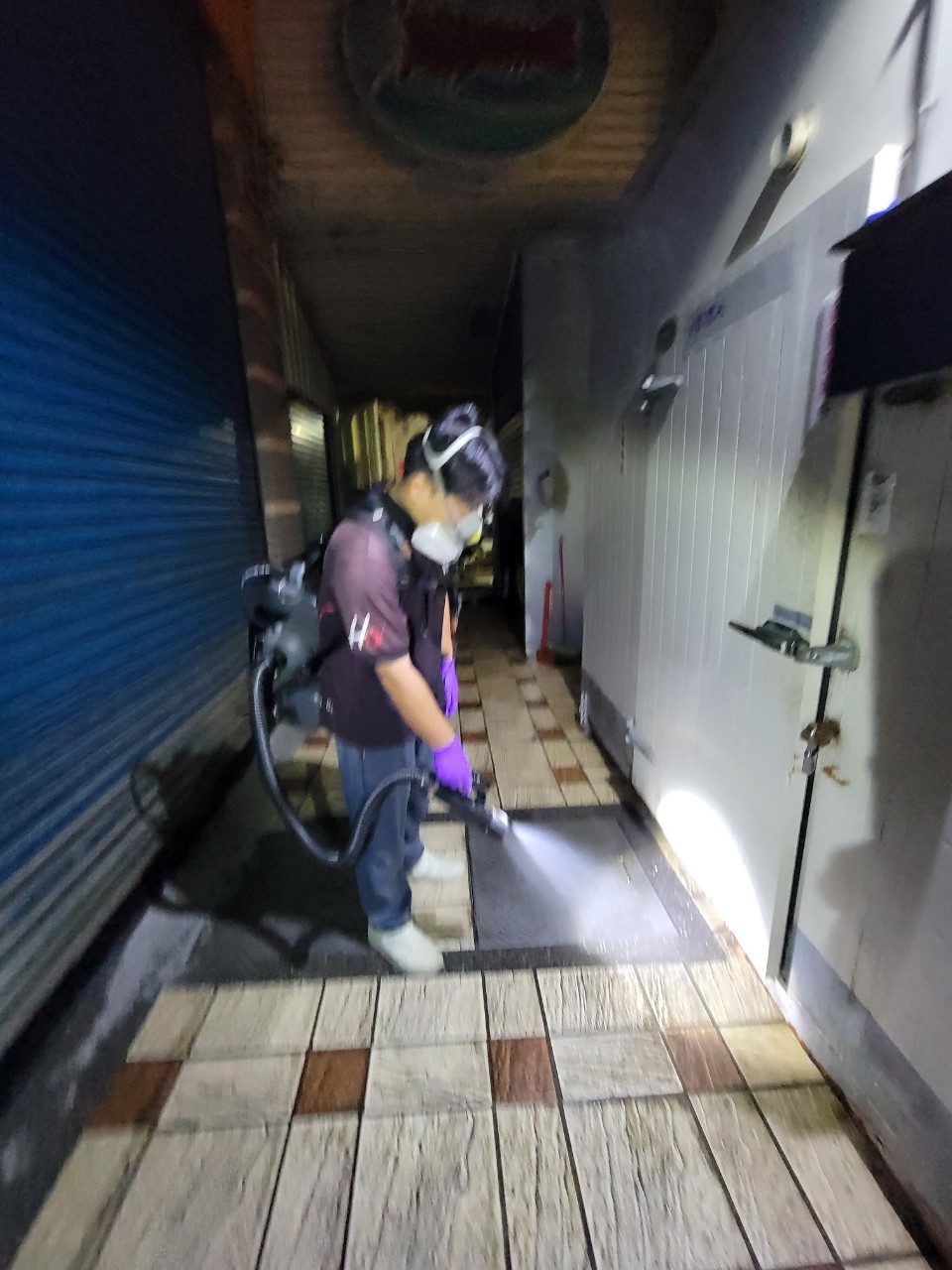 20231105登革熱防治的第2張圖片